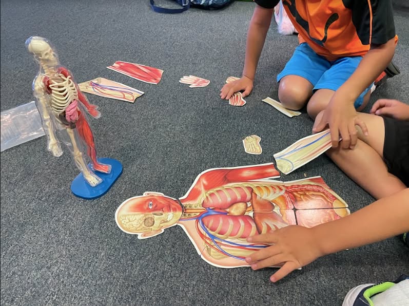 294072918_5286980284684529_981950633893323827_n.png (1)